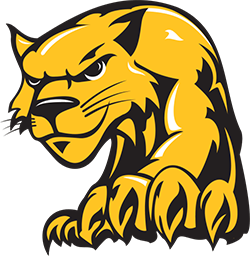 Bridges Bobcats PTO logo